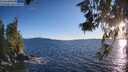 ./images/koeye/fitz-hugh/20260611/fitz-hugh20260611_202501M.jpg