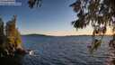 ./images/koeye/fitz-hugh/20260611/fitz-hugh20260611_211001M.jpg