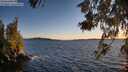 ./images/koeye/fitz-hugh/20260611/fitz-hugh20260611_211501M.jpg