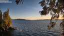 ./images/koeye/fitz-hugh/20260611/fitz-hugh20260611_212001M.jpg