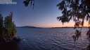 ./images/koeye/fitz-hugh/20260611/fitz-hugh20260611_223501M.jpg