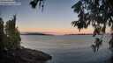 ./images/koeye/fitz-hugh/20260612/fitz-hugh20260612_052501M.jpg