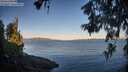 ./images/koeye/fitz-hugh/20260612/fitz-hugh20260612_061001M.jpg