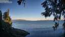 ./images/koeye/fitz-hugh/20260612/fitz-hugh20260612_061501M.jpg