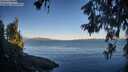 ./images/koeye/fitz-hugh/20260612/fitz-hugh20260612_062002M.jpg