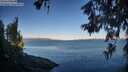 ./images/koeye/fitz-hugh/20260612/fitz-hugh20260612_063501M.jpg