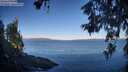 ./images/koeye/fitz-hugh/20260612/fitz-hugh20260612_071001M.jpg