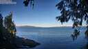 ./images/koeye/fitz-hugh/20260612/fitz-hugh20260612_071501M.jpg