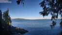 ./images/koeye/fitz-hugh/20260612/fitz-hugh20260612_072001M.jpg