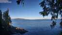 ./images/koeye/fitz-hugh/20260612/fitz-hugh20260612_072501M.jpg