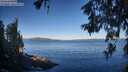 ./images/koeye/fitz-hugh/20260612/fitz-hugh20260612_073001M.jpg