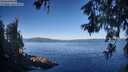 ./images/koeye/fitz-hugh/20260612/fitz-hugh20260612_073501M.jpg