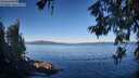 ./images/koeye/fitz-hugh/20260612/fitz-hugh20260612_074001M.jpg