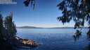 ./images/koeye/fitz-hugh/20260612/fitz-hugh20260612_074501M.jpg