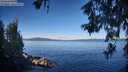 ./images/koeye/fitz-hugh/20260612/fitz-hugh20260612_075001M.jpg