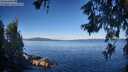 ./images/koeye/fitz-hugh/20260612/fitz-hugh20260612_075501M.jpg