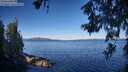 ./images/koeye/fitz-hugh/20260612/fitz-hugh20260612_081001M.jpg