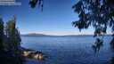 ./images/koeye/fitz-hugh/20260612/fitz-hugh20260612_081501M.jpg