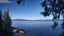 ./images/koeye/fitz-hugh/20260612/fitz-hugh20260612_082001M.jpg