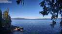 ./images/koeye/fitz-hugh/20260612/fitz-hugh20260612_083501M.jpg