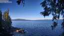 ./images/koeye/fitz-hugh/20260612/fitz-hugh20260612_084001M.jpg