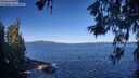 ./images/koeye/fitz-hugh/20260612/fitz-hugh20260612_085001M.jpg