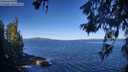./images/koeye/fitz-hugh/20260612/fitz-hugh20260612_085501M.jpg