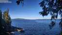 ./images/koeye/fitz-hugh/20260612/fitz-hugh20260612_090001M.jpg