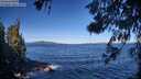 ./images/koeye/fitz-hugh/20260612/fitz-hugh20260612_091001M.jpg