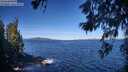 ./images/koeye/fitz-hugh/20260612/fitz-hugh20260612_091501M.jpg