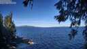 ./images/koeye/fitz-hugh/20260612/fitz-hugh20260612_092501M.jpg