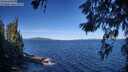 ./images/koeye/fitz-hugh/20260612/fitz-hugh20260612_093501M.jpg