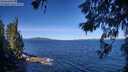 ./images/koeye/fitz-hugh/20260612/fitz-hugh20260612_100501M.jpg