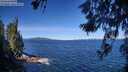 ./images/koeye/fitz-hugh/20260612/fitz-hugh20260612_101002M.jpg