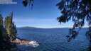 ./images/koeye/fitz-hugh/20260612/fitz-hugh20260612_101501M.jpg
