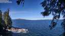 ./images/koeye/fitz-hugh/20260612/fitz-hugh20260612_103501M.jpg