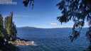 ./images/koeye/fitz-hugh/20260612/fitz-hugh20260612_104501M.jpg