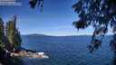 ./images/koeye/fitz-hugh/20260612/fitz-hugh20260612_105001M.jpg