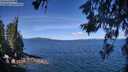 ./images/koeye/fitz-hugh/20260612/fitz-hugh20260612_110501M.jpg
