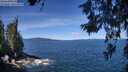 ./images/koeye/fitz-hugh/20260612/fitz-hugh20260612_111501M.jpg