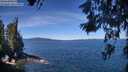 ./images/koeye/fitz-hugh/20260612/fitz-hugh20260612_112002M.jpg