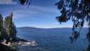 ./images/koeye/fitz-hugh/20260612/fitz-hugh20260612_112502M.jpg