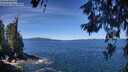 ./images/koeye/fitz-hugh/20260612/fitz-hugh20260612_113001M.jpg