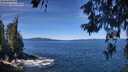 ./images/koeye/fitz-hugh/20260612/fitz-hugh20260612_113501M.jpg