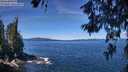 ./images/koeye/fitz-hugh/20260612/fitz-hugh20260612_114001M.jpg
