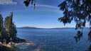 ./images/koeye/fitz-hugh/20260612/fitz-hugh20260612_114501M.jpg