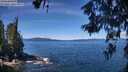 ./images/koeye/fitz-hugh/20260612/fitz-hugh20260612_115001M.jpg