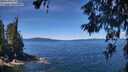 ./images/koeye/fitz-hugh/20260612/fitz-hugh20260612_115501M.jpg