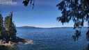 ./images/koeye/fitz-hugh/20260612/fitz-hugh20260612_120002M.jpg