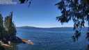 ./images/koeye/fitz-hugh/20260612/fitz-hugh20260612_122501M.jpg